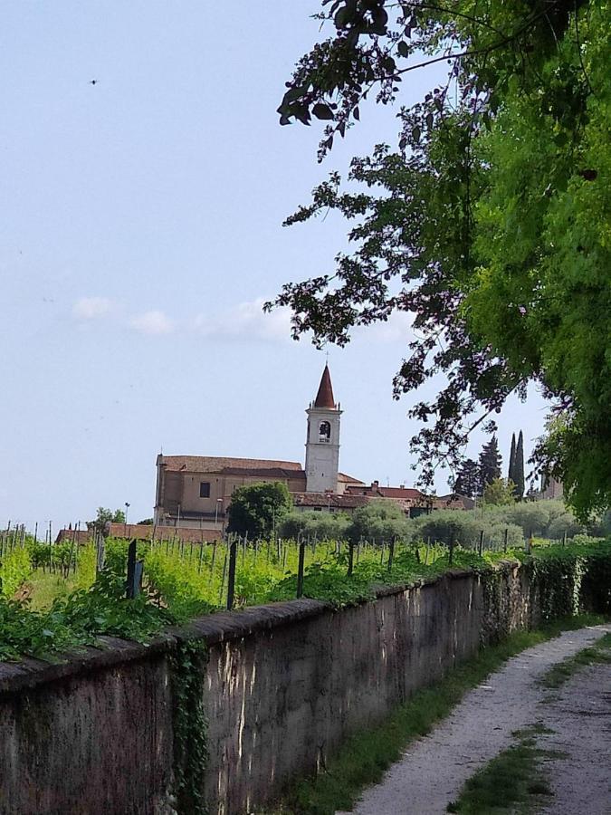 Private Garden Giardino Privato A Bardolino - House Amorino エクステリア 写真